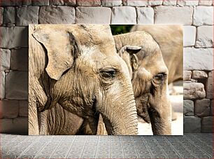 Πίνακας, Elephants in Natural Habitat Ελέφαντες στο φυσικό βιότοπο
