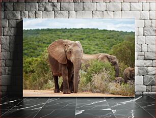 Πίνακας, Elephants in Nature Οι ελέφαντες στη φύση