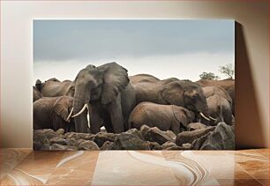 Πίνακας, Elephants in Nature Οι ελέφαντες στη φύση