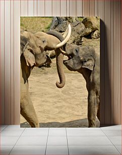 Πίνακας, Elephants in Playful Interaction Οι ελέφαντες σε παιχνιδιάρικη αλληλεπίδραση