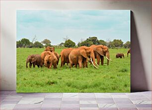 Πίνακας, Elephants in the Grasslands Ελέφαντες στα λιβάδια