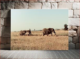 Πίνακας, Elephants in the Savanna Ελέφαντες στη Σαβάνα