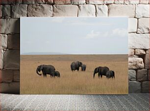 Πίνακας, Elephants in the Savanna Ελέφαντες στη Σαβάνα