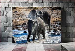 Πίνακας, Elephants in the Water Ελέφαντες στο νερό