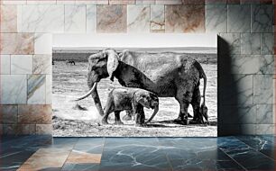 Πίνακας, Elephants in the Wild Ελέφαντας στην άγρια ​​φύση