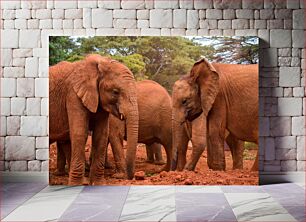 Πίνακας, Elephants in the Wild Ελέφαντας στην άγρια ​​φύση