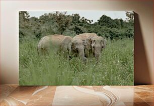 Πίνακας, Elephants in the Wild Ελέφαντας στην άγρια ​​φύση