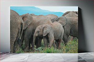 Πίνακας, Elephants in the Wild Ελέφαντες στην άγρια ​​φύση