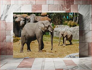 Πίνακας, Elephants in the Zoo Ελέφαντες στο ζωολογικό κήπο