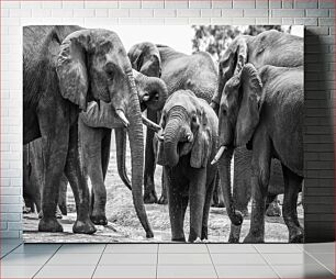 Πίνακας, Elephants in Their Natural Habitat Οι ελέφαντες στο φυσικό τους περιβάλλον