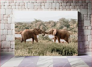 Πίνακας, Elephants Interacting by the River Ελέφαντες που αλληλεπιδρούν δίπλα στο ποτάμι