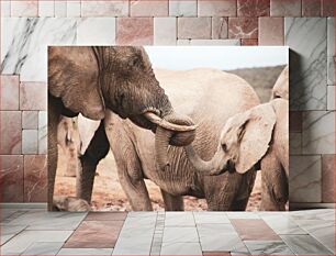 Πίνακας, Elephants Interacting Ελέφαντες που αλληλεπιδρούν