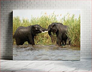 Πίνακας, Elephants Playing in the Water Ελέφαντες που παίζουν στο νερό