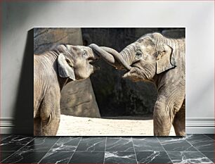 Πίνακας, Elephants Playing Ελέφαντες που παίζουν