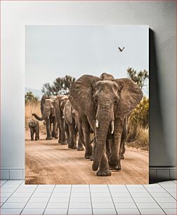 Πίνακας, Elephants Walking on a Dirt Road Ελέφαντες που περπατούν σε χωματόδρομο