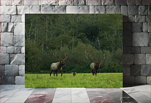 Πίνακας, Elk Family in the Forest Οικογένεια Αλκών στο Δάσος