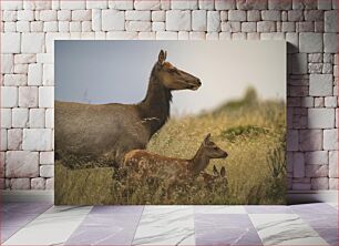 Πίνακας, Elk Family in the Grasslands Οικογένεια Αλκών στα Λιβάδια