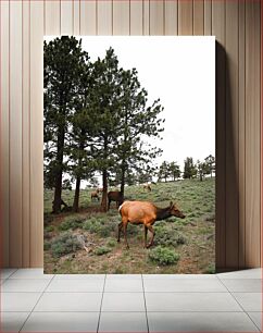 Πίνακας, Elk Grazing in the Forest Άλκες που βόσκουν στο δάσος