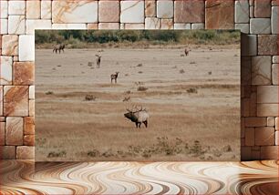 Πίνακας, Elk in Open Field Άλκη σε ανοιχτό πεδίο