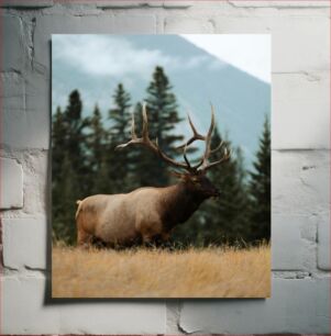 Πίνακας, Elk in the Wild Elk in the Wild
