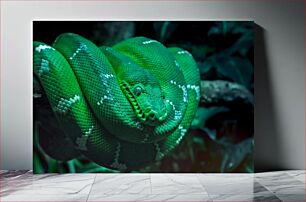 Πίνακας, Emerald Green Snake Σμαραγδένιο Πράσινο Φίδι
