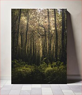 Πίνακας, Enchanted Forest Μαγεμένο Δάσος