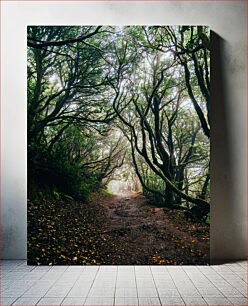 Πίνακας, Enchanted Forest Path Μαγεμένο Δασικό Μονοπάτι