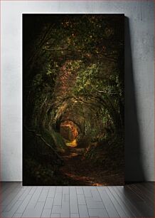 Πίνακας, Enchanted Forest Path Μαγεμένο Δασικό Μονοπάτι