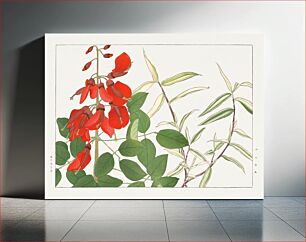 Πίνακας, Erythrina & panicum flower, Japanese woodblock art