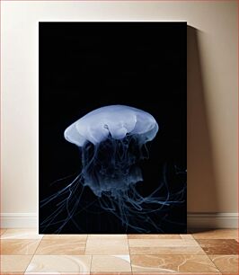 Πίνακας, Ethereal Jellyfish Αιθέρια μέδουσα