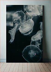 Πίνακας, Ethereal Jellyfish Αιθέρια μέδουσα