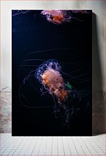 Πίνακας, Ethereal Jellyfish Αιθέρια μέδουσα