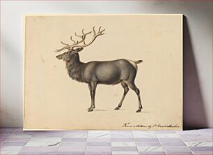 Πίνακας, European Elk by Peter Rindisbacher