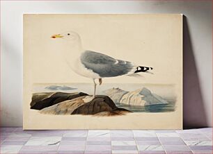 Πίνακας, European herring gull, 1839, by Ferdinand von Wright