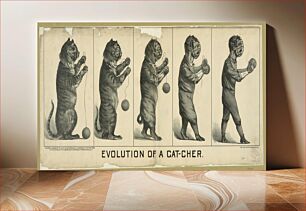 Πίνακας, Evolution of a cat-cher / lith. H.S. Crocker & Co., S.F
