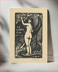 Πίνακας, Ex libris of eva chtiv?