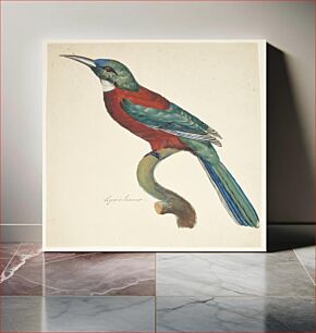 Πίνακας, Exotic bird by Johan Christian Ernst Walter