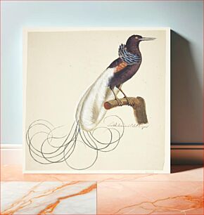 Πίνακας, Exotic bird by Johan Christian Ernst Walter