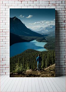 Πίνακας, Explorer Overlooking Mountain Lake Εξερευνητής με θέα στη λίμνη βουνών