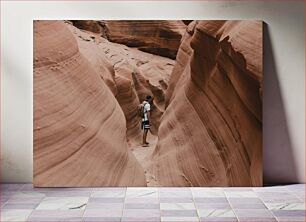 Πίνακας, Exploring a Desert Canyon Εξερευνώντας ένα φαράγγι της ερήμου
