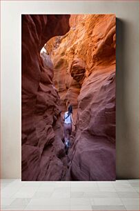 Πίνακας, Exploring Red Rock Canyon Εξερευνώντας το Red Rock Canyon