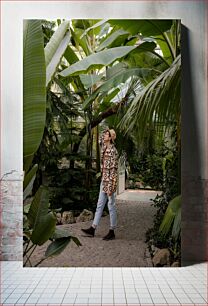 Πίνακας, Exploring the Greenhouse Εξερευνώντας το Θερμοκήπιο