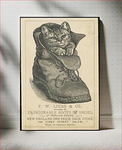 Πίνακας, F. W. Lucas & Co., dealers in fashionable boots and shoes at popular prices, New England one price shoe store, 186 Essex Street, Salem