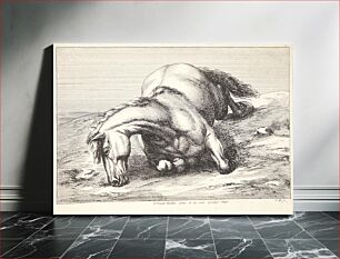 Πίνακας, Fallen horse, front view by Jan Van Huchtenburg