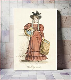 Πίνακας, Fashion Plate, 'Walking Dress' for 'Lady's Magazine'