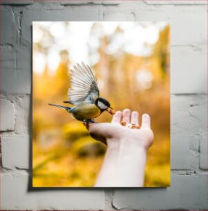 Πίνακας, Feeding a Bird Ταΐζοντας ένα πουλί