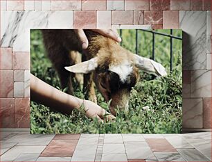 Πίνακας, Feeding a Goat Ταΐζοντας μια κατσίκα