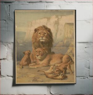 Πίνακας, [Female and male lions with their cubs]