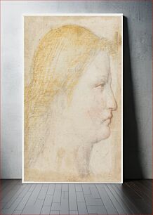 Πίνακας, Female profile by Bernardino Luini