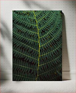 Πίνακας, Fern Leaf Close-Up Κοντινό πλάνο φτέρης